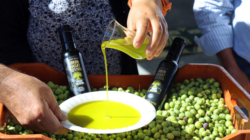 High Demand for Registered Kilis Olive Oil