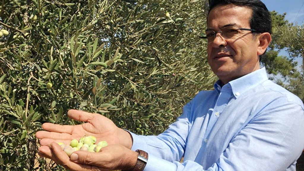 Olive School Aims to Increase Production