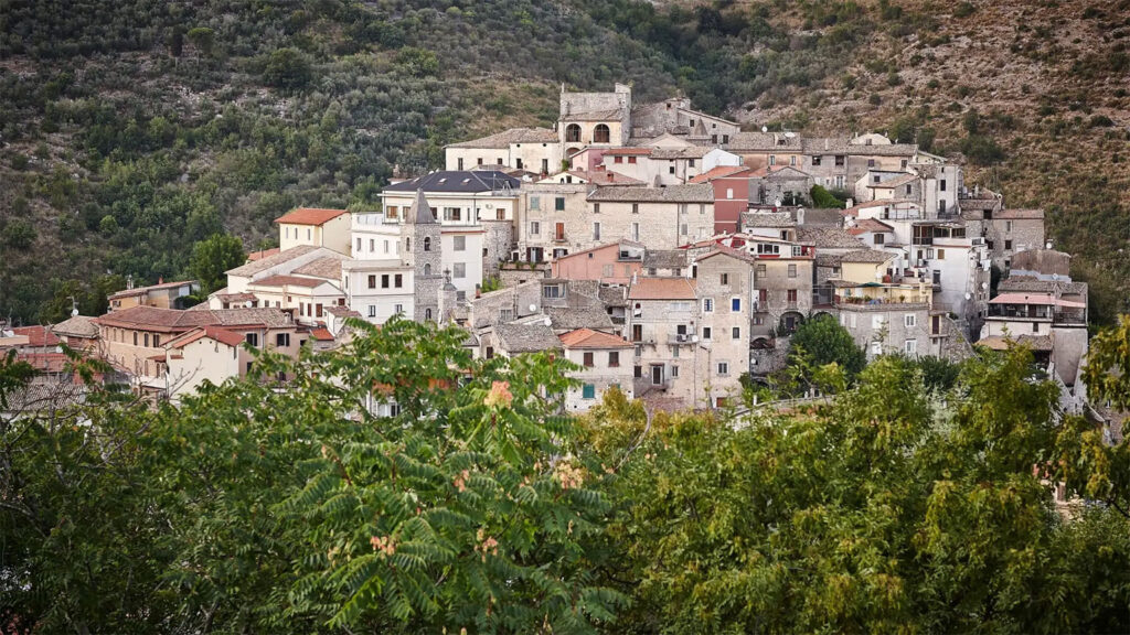 Itrana Olives