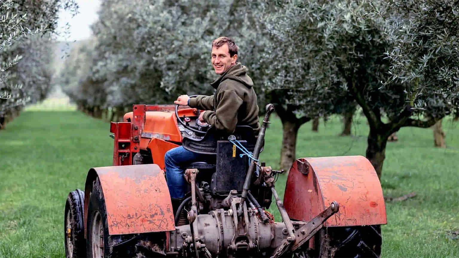 New Zealand Harvest Shows Encouraging Signs